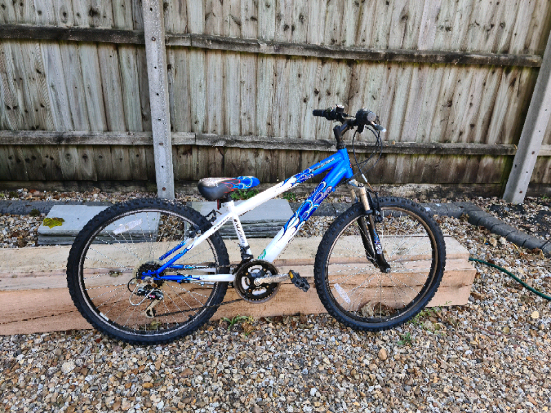 raleigh kids mountain bike
